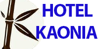 Hotel Kaonia Sarande